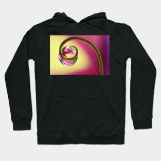 Sweet Pea Twirl Hoodie